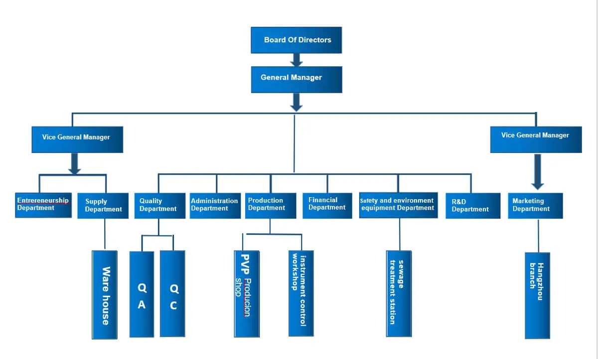 Company Structure of Sunflower